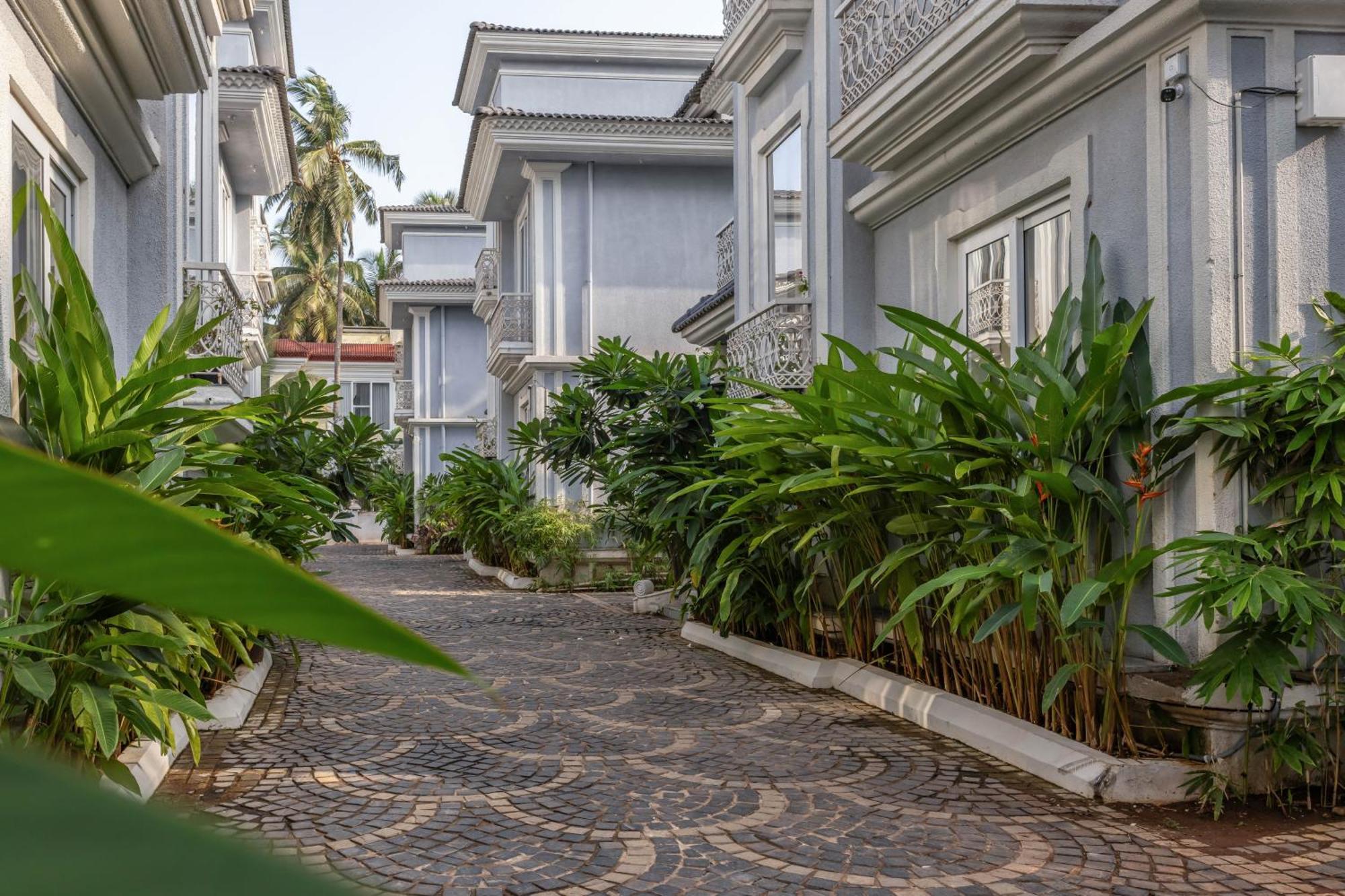 The Hornbill Villa - 3Bhk With Pvt Pool In Saligao Exterior photo